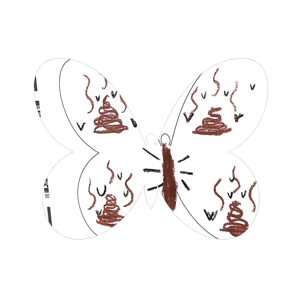 Original Butterfly Image