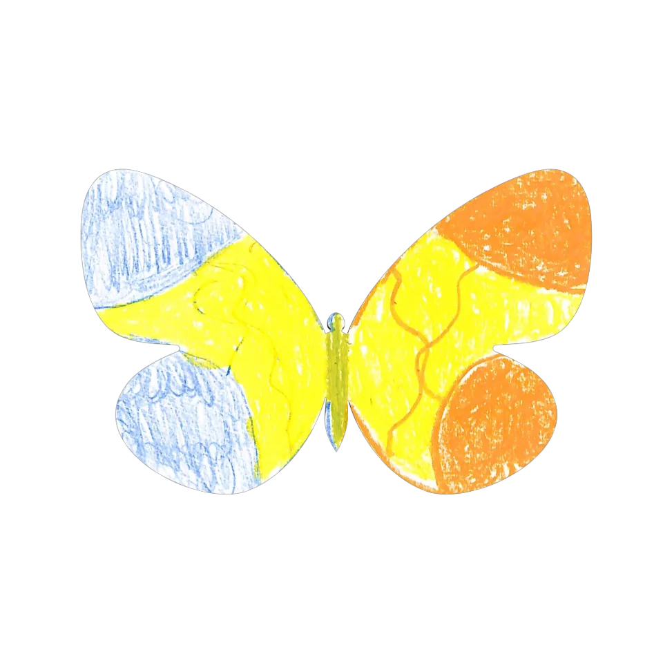 Original Butterfly Image