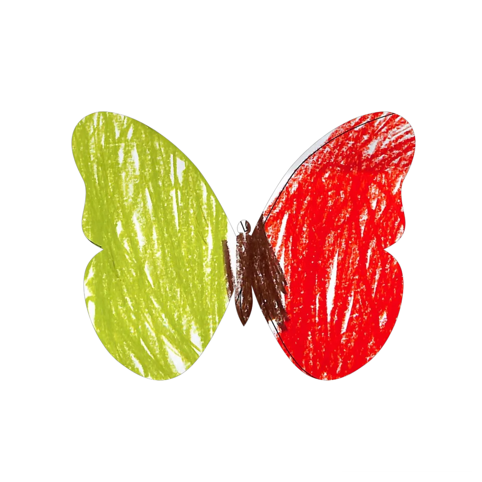 Original Butterfly Image