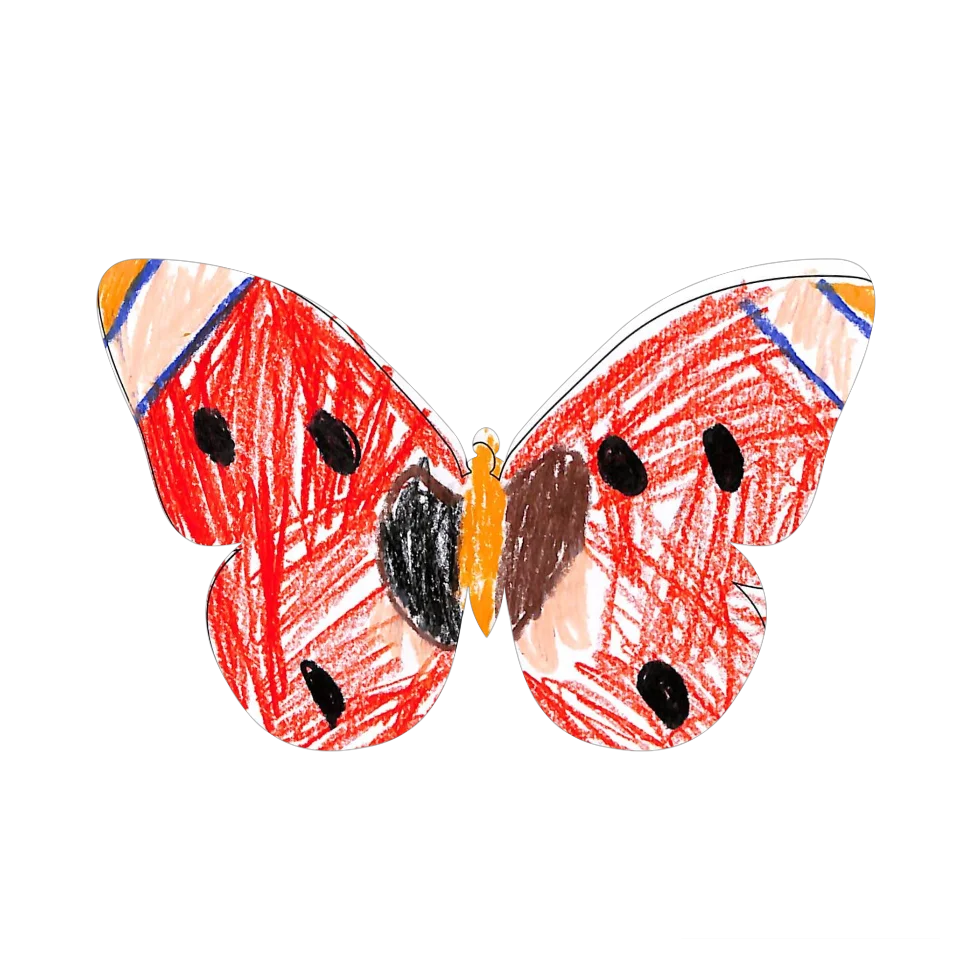 Original Butterfly Image