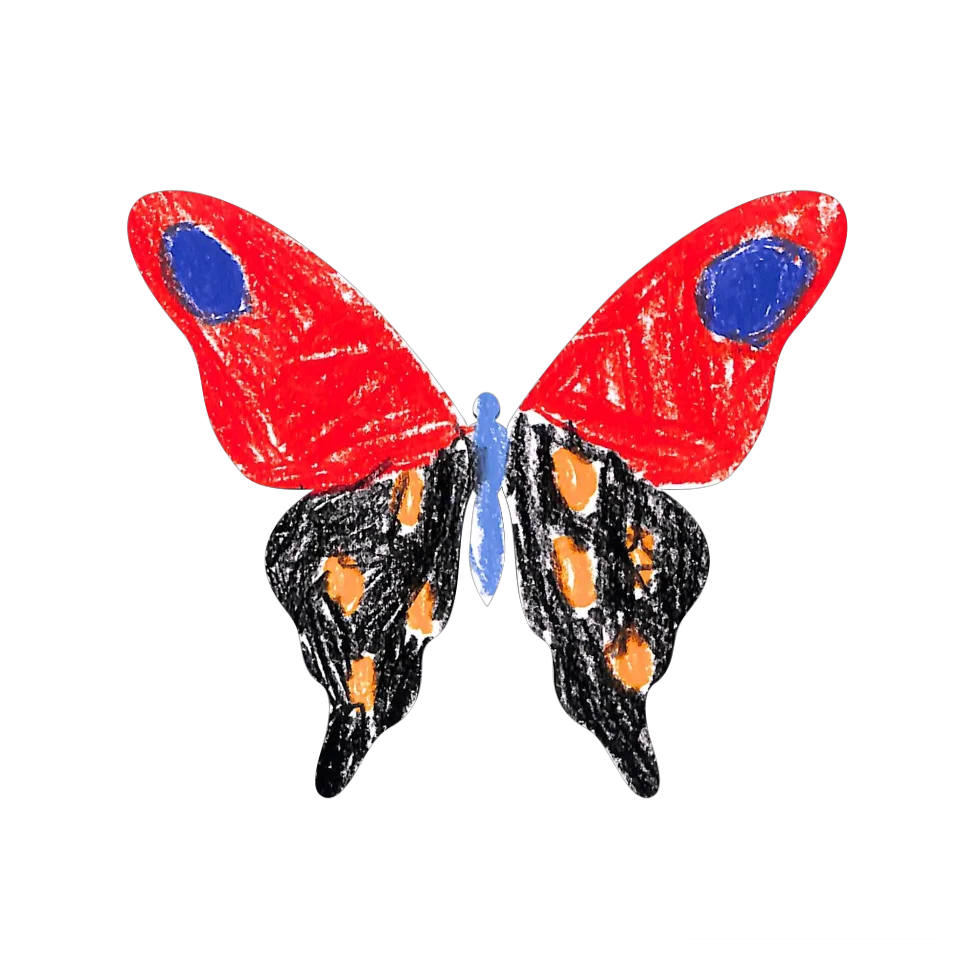 Original Butterfly Image