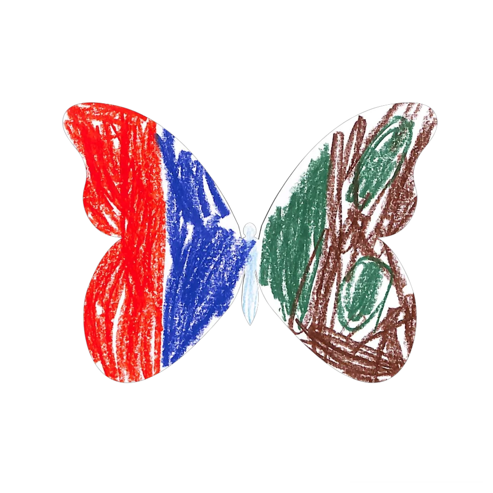 Original Butterfly Image