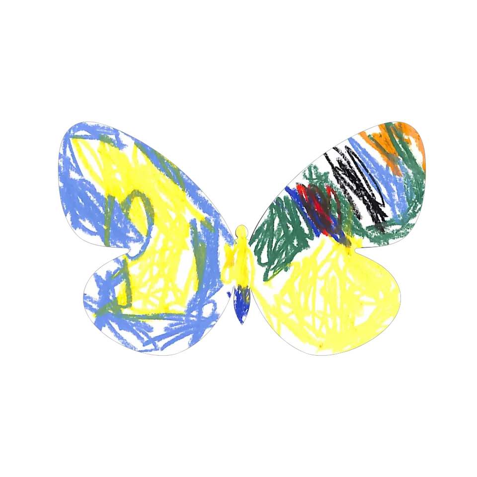 Original Butterfly Image