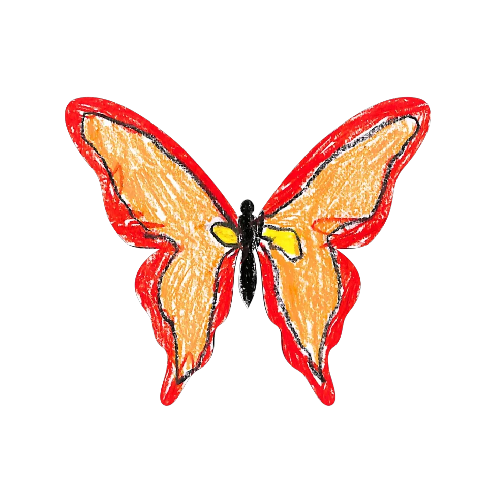 Original Butterfly Image