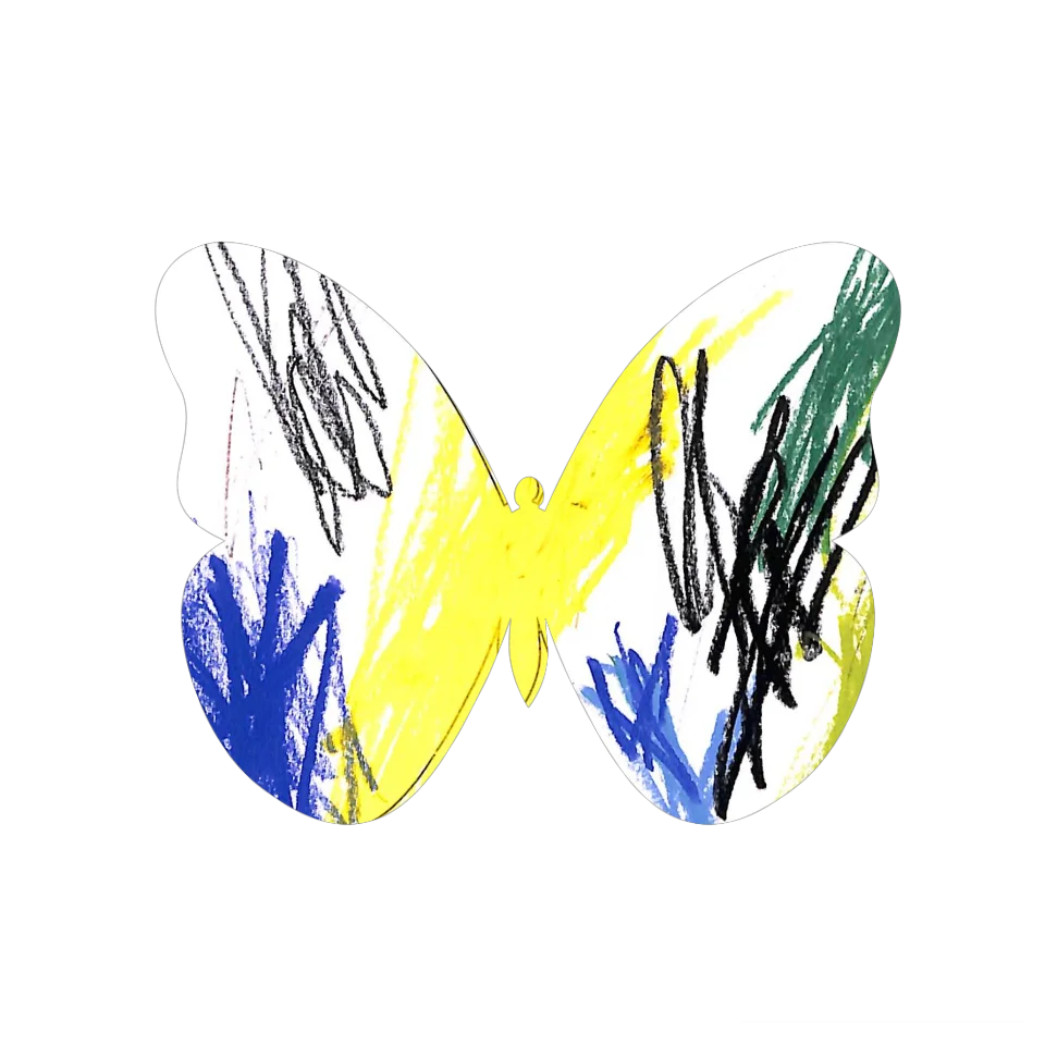 Original Butterfly Image