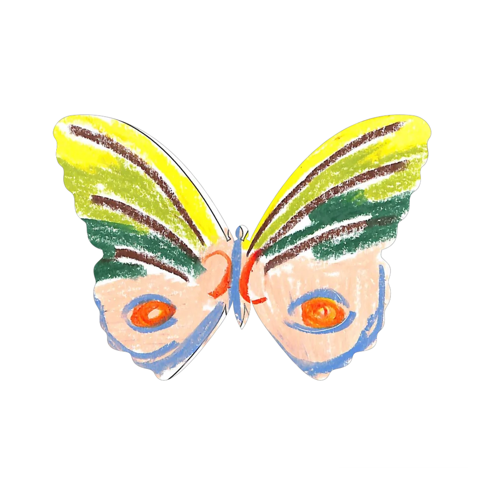 Original Butterfly Image