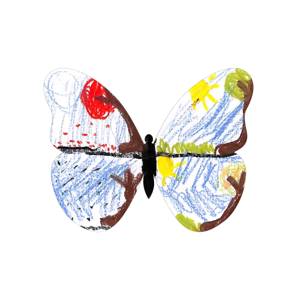 Original Butterfly Image