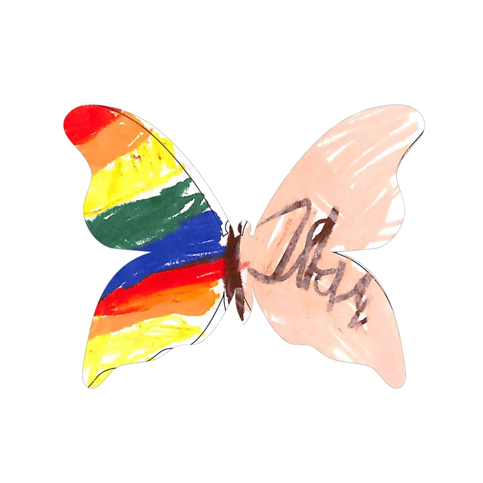Original Butterfly Image