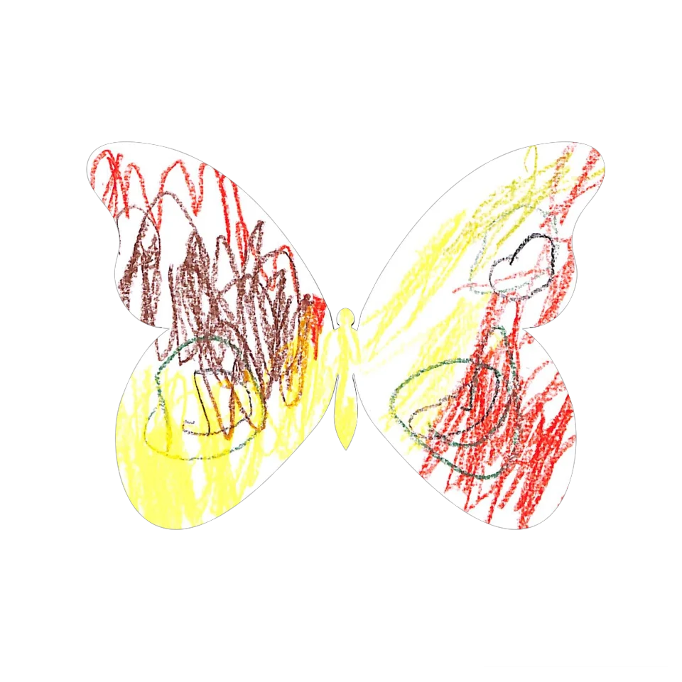 Original Butterfly Image