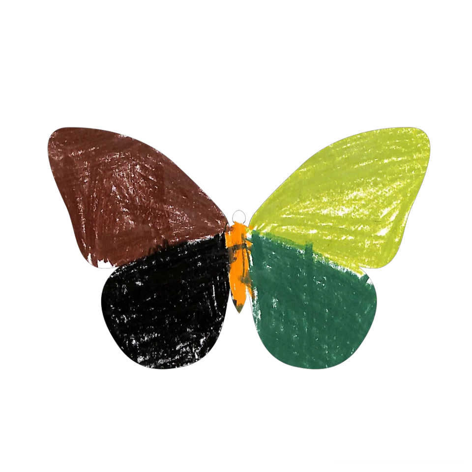 Original Butterfly Image