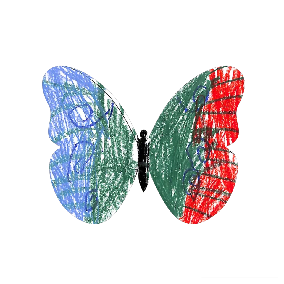 Original Butterfly Image