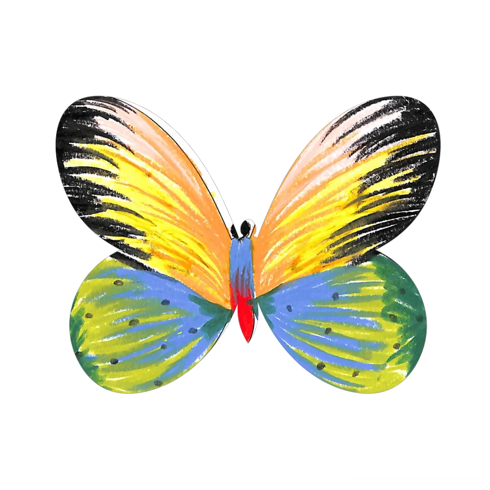 Original Butterfly Image