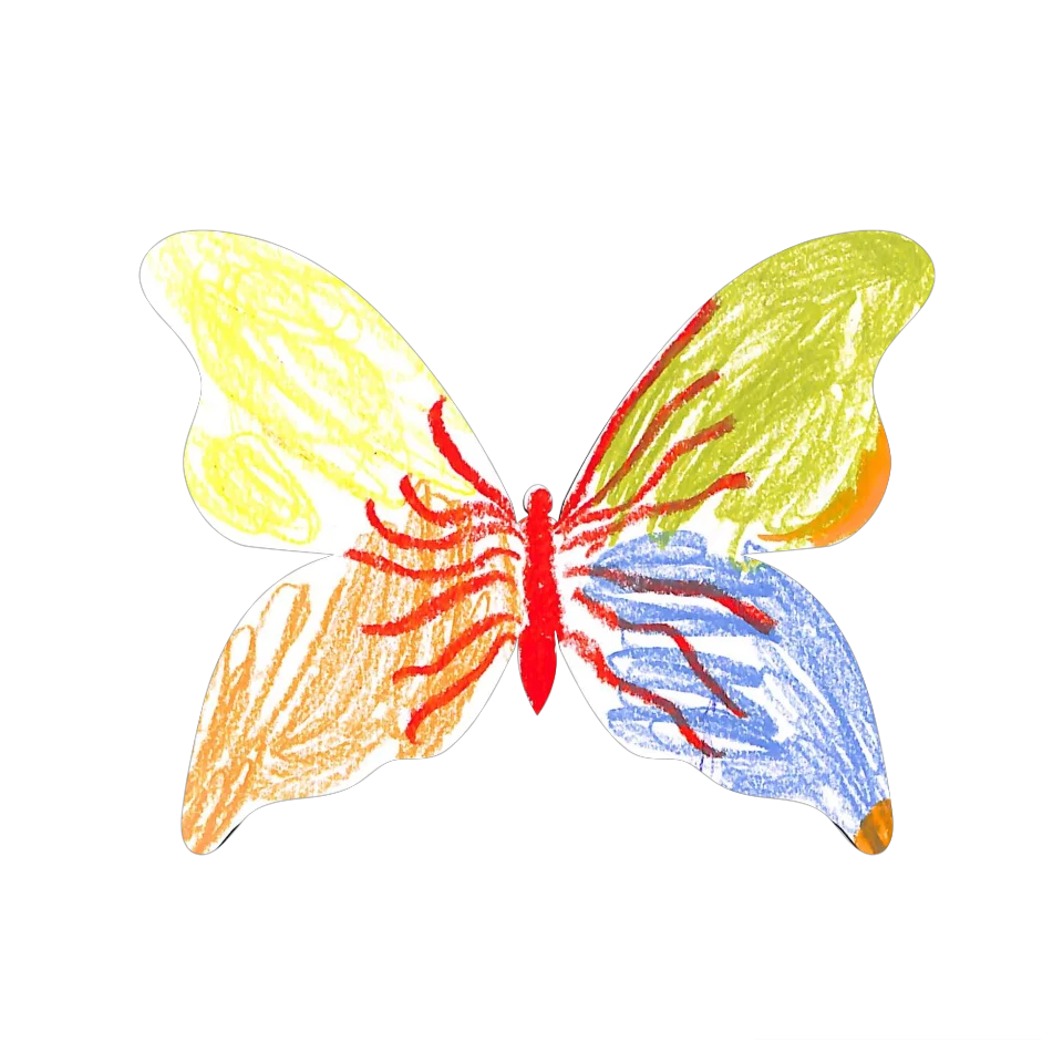 Original Butterfly Image