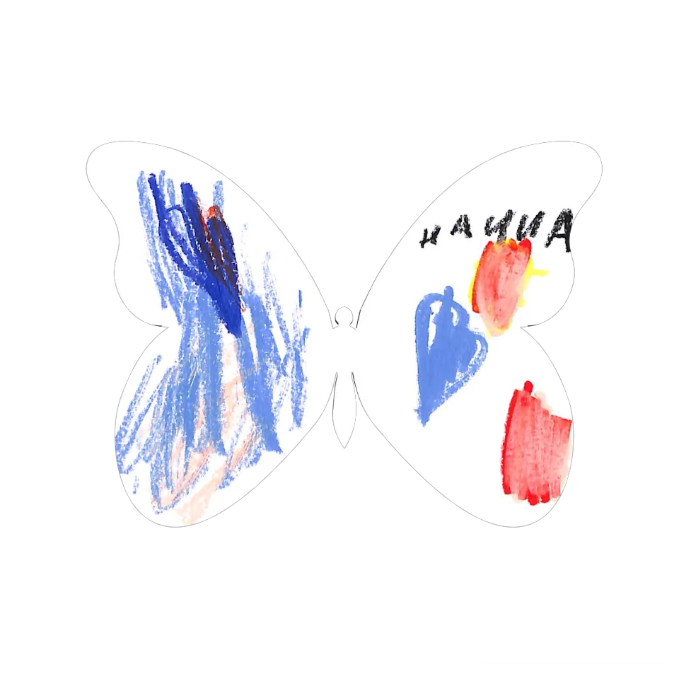 Original Butterfly Image
