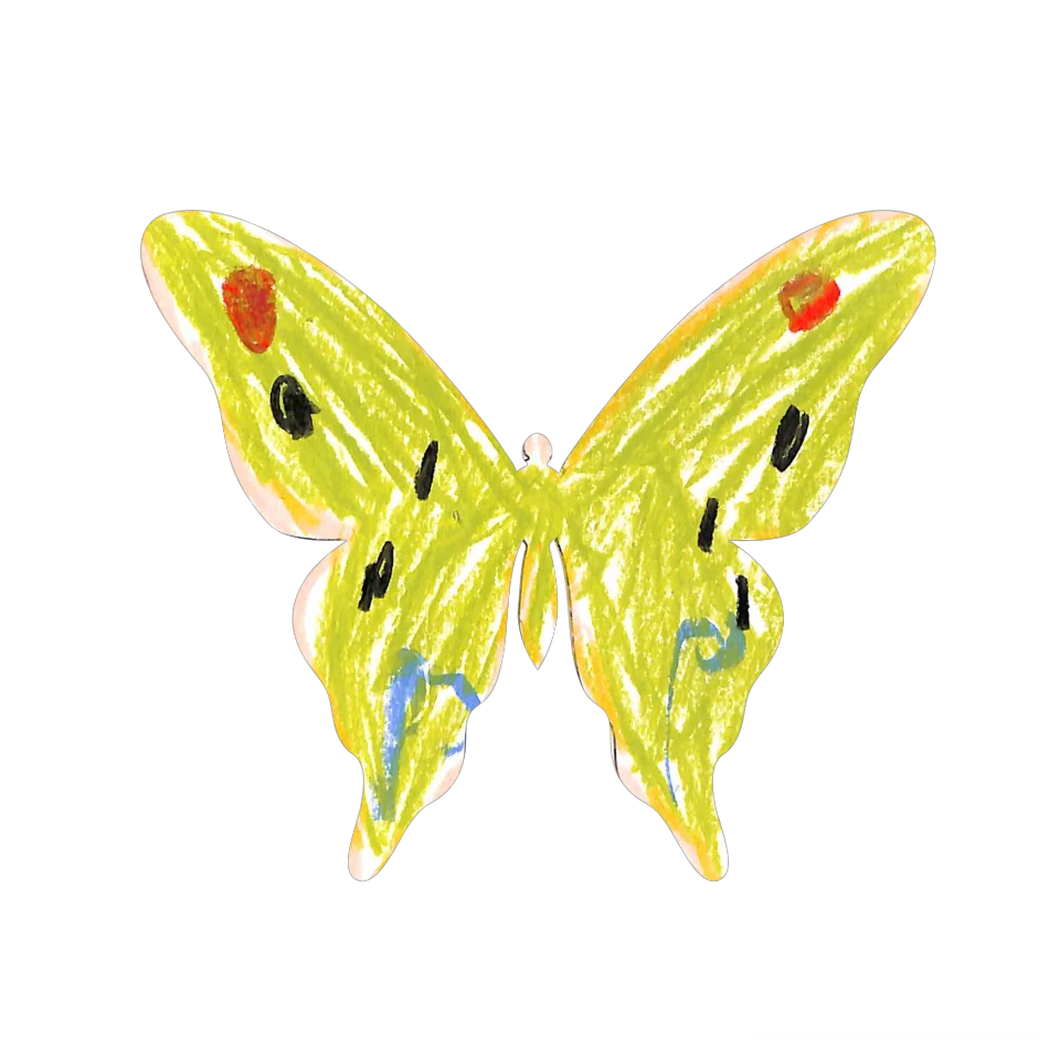 Original Butterfly Image