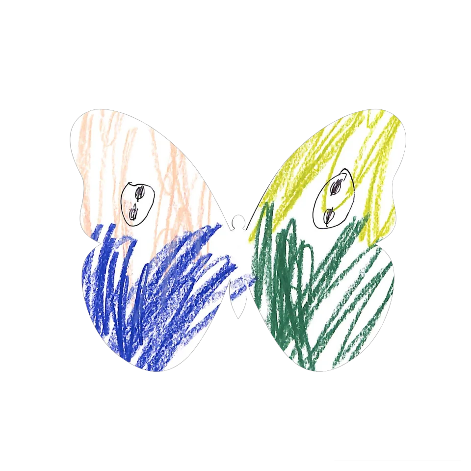 Original Butterfly Image