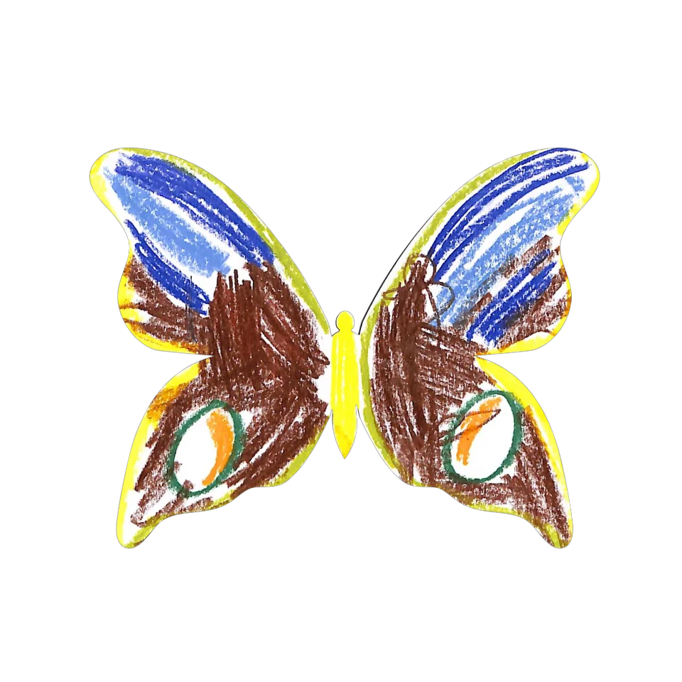 Original Butterfly Image