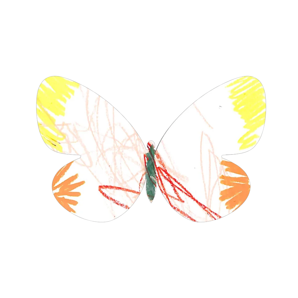 Original Butterfly Image