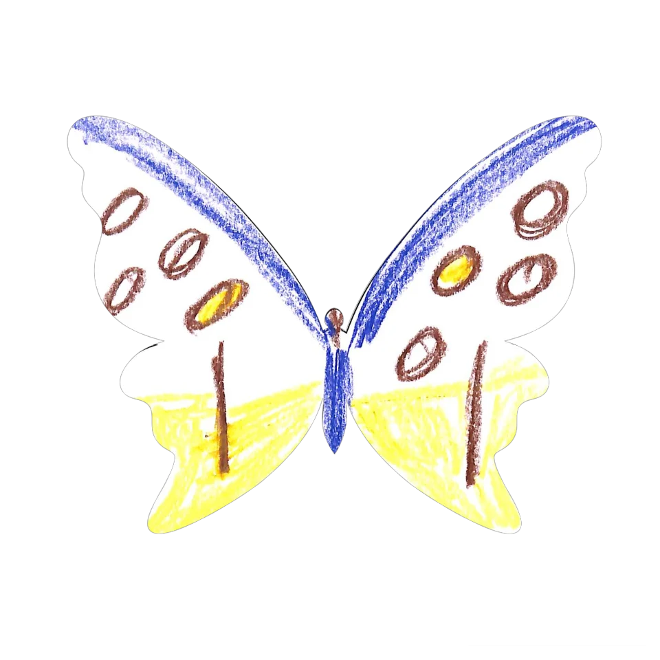 Original Butterfly Image
