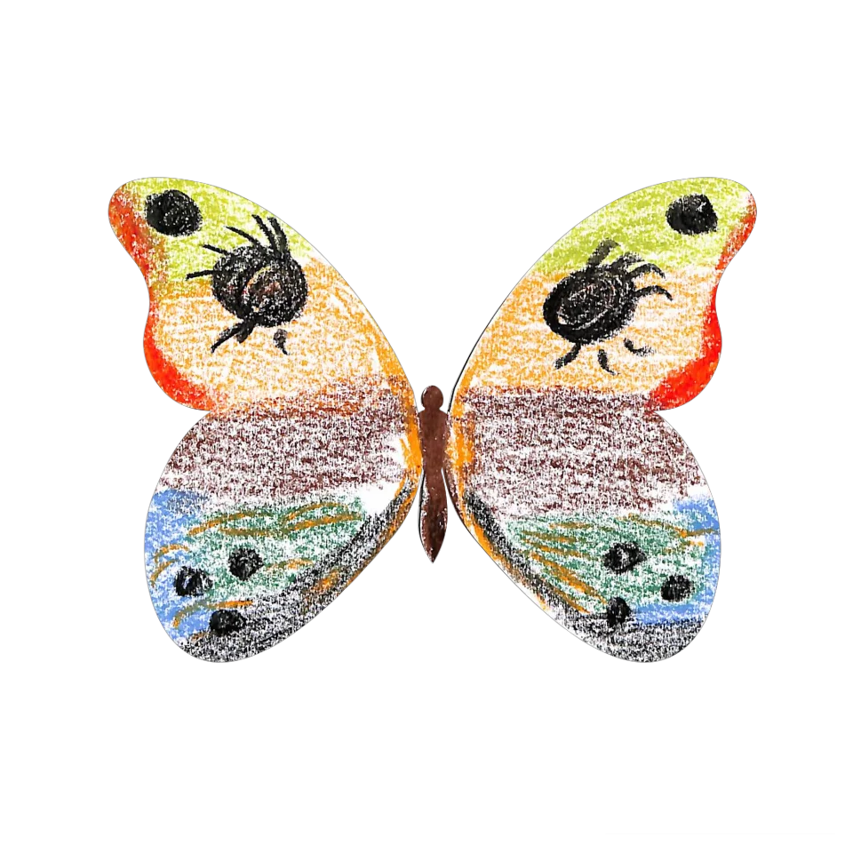 Original Butterfly Image