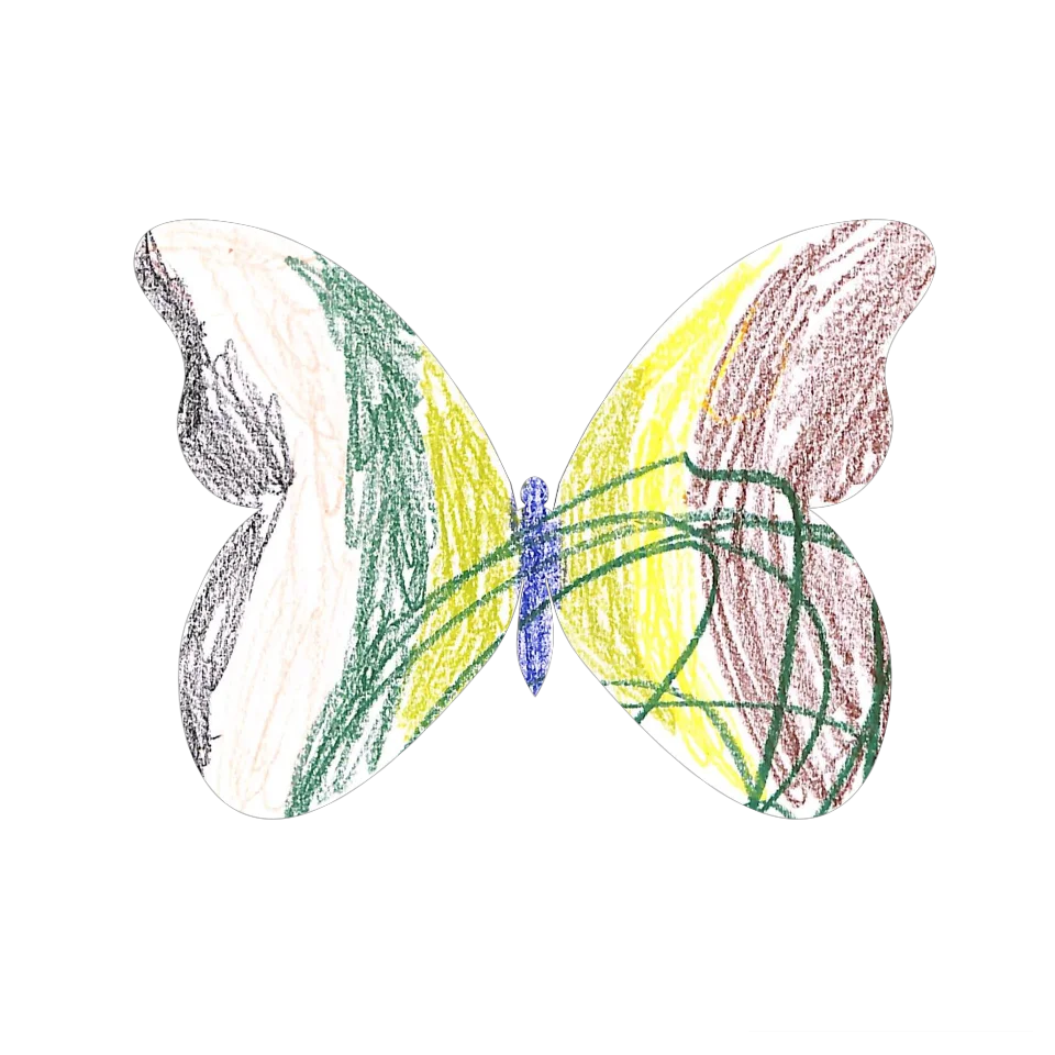 Original Butterfly Image