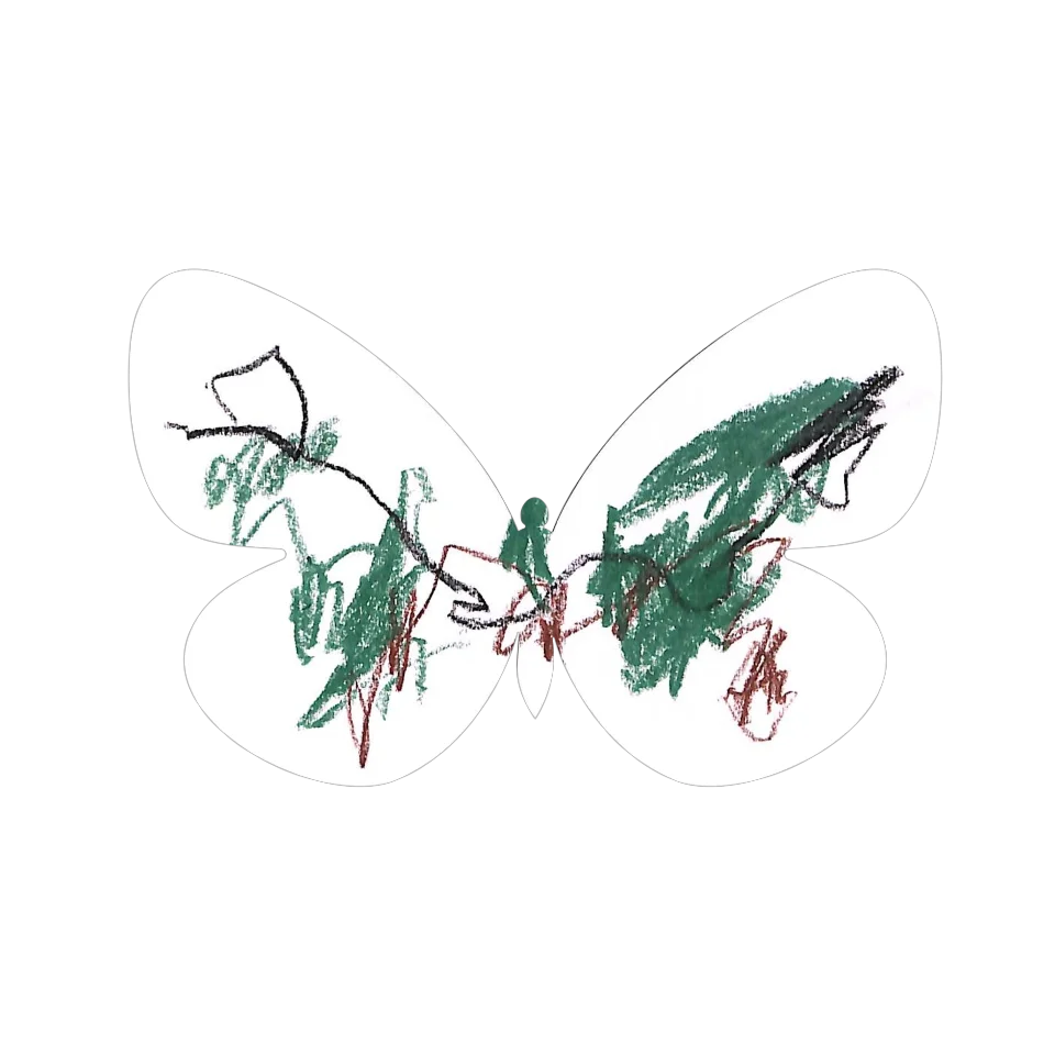 Original Butterfly Image