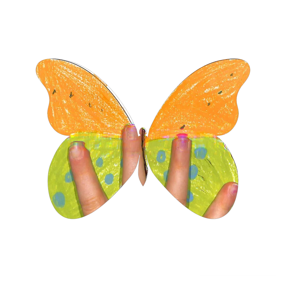 Original Butterfly Image