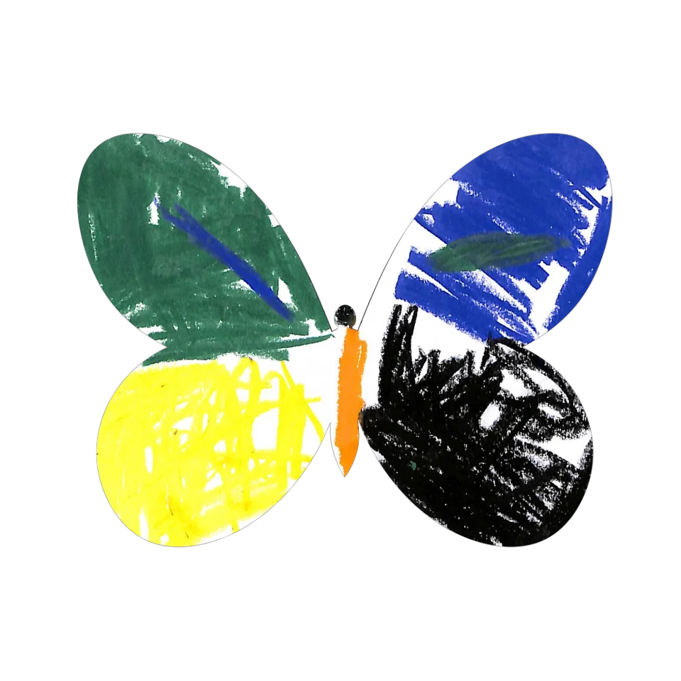 Original Butterfly Image