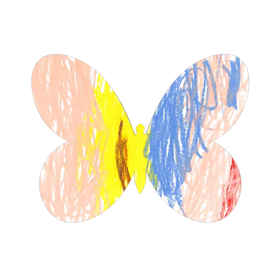 Original Butterfly Image