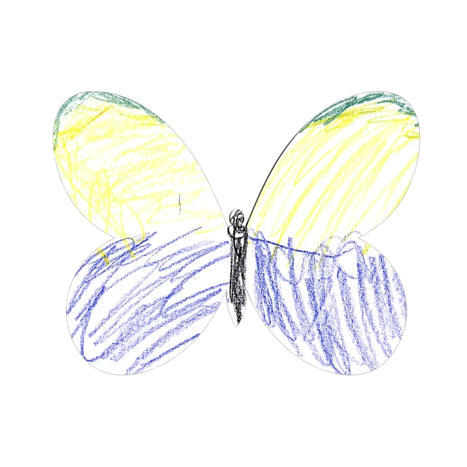 Original Butterfly Image