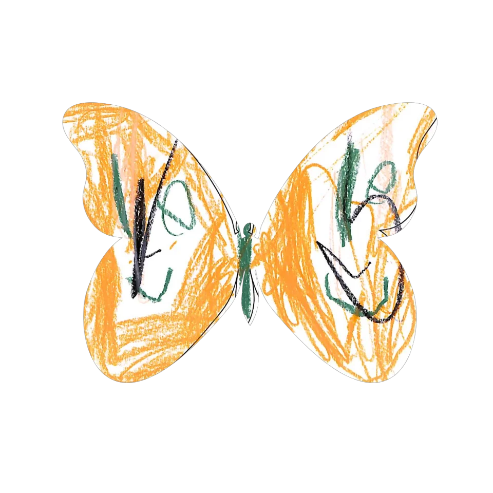 Original Butterfly Image