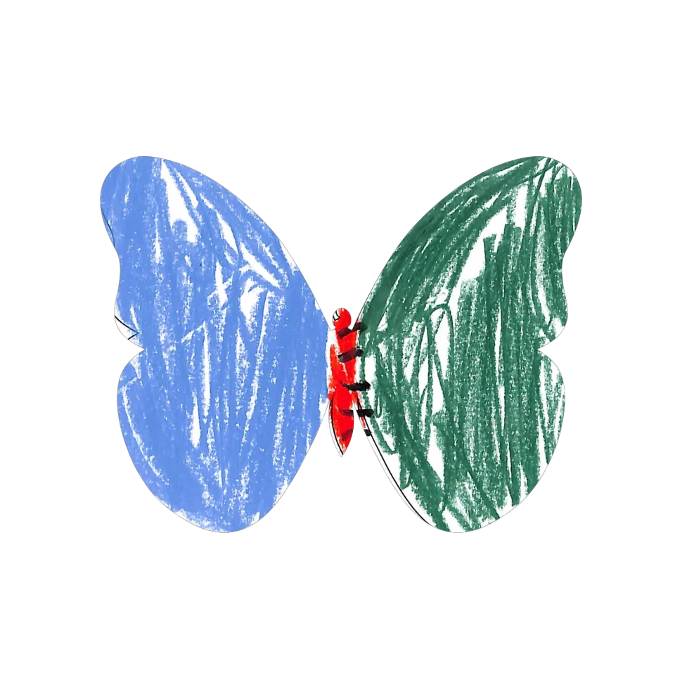 Original Butterfly Image
