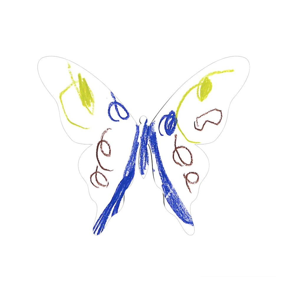 Original Butterfly Image