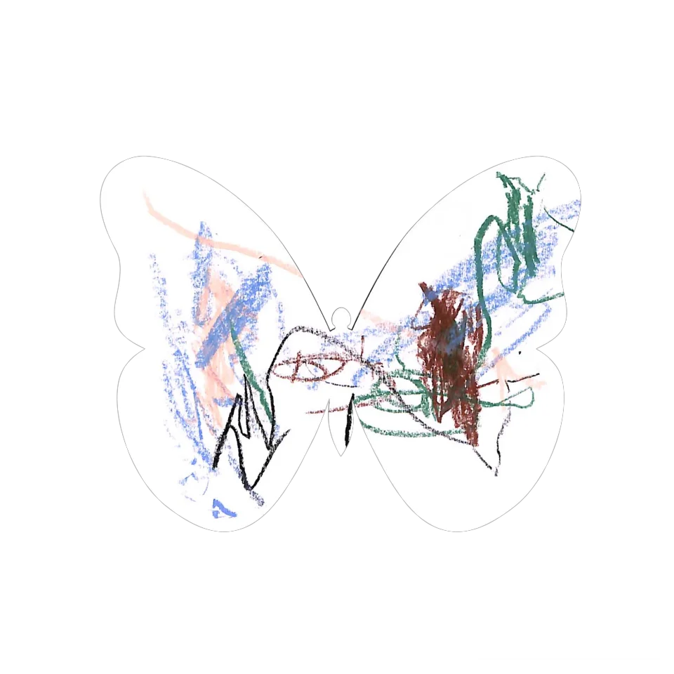 Original Butterfly Image
