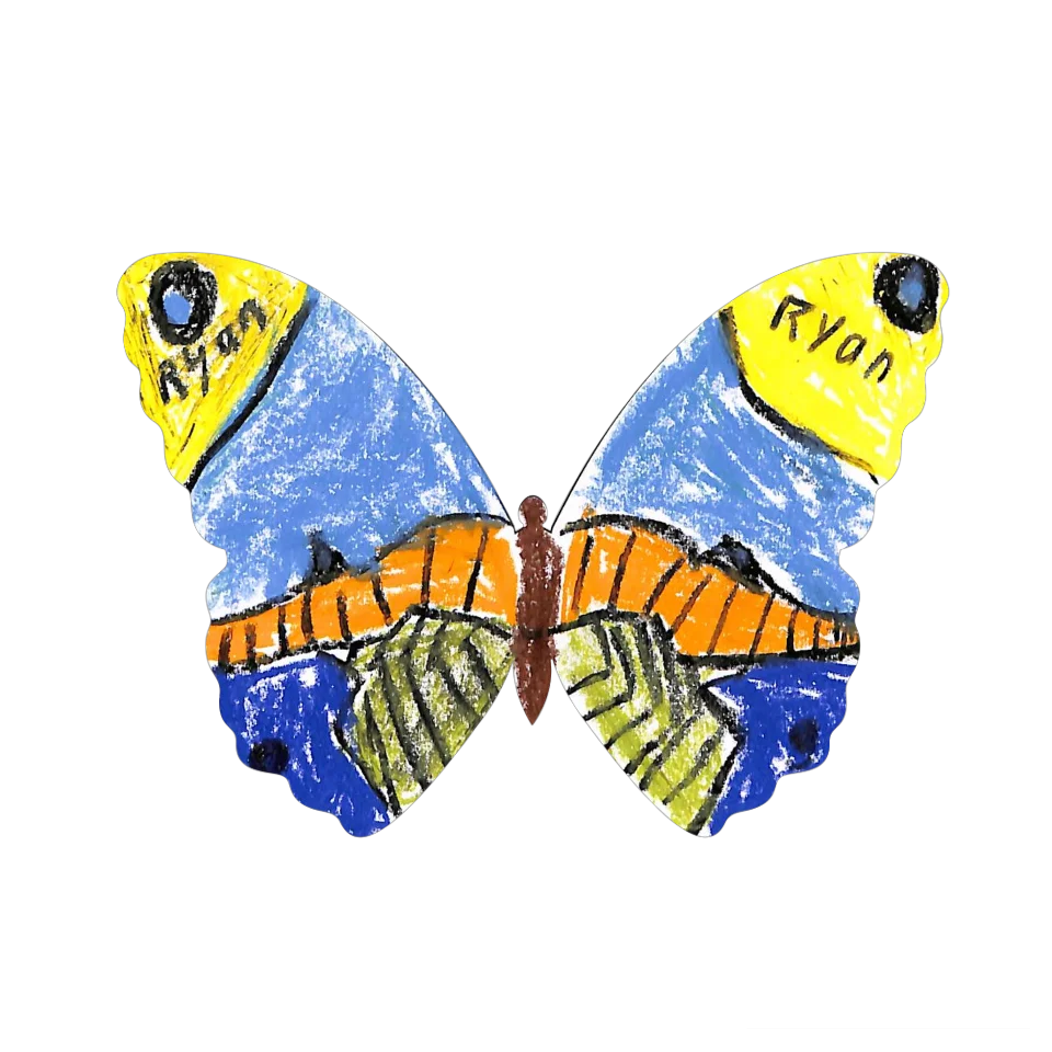 Original Butterfly Image