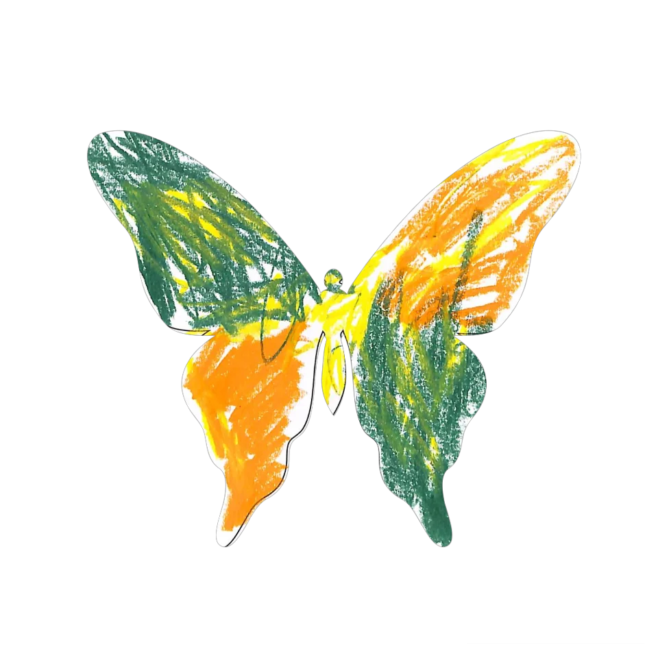 Original Butterfly Image