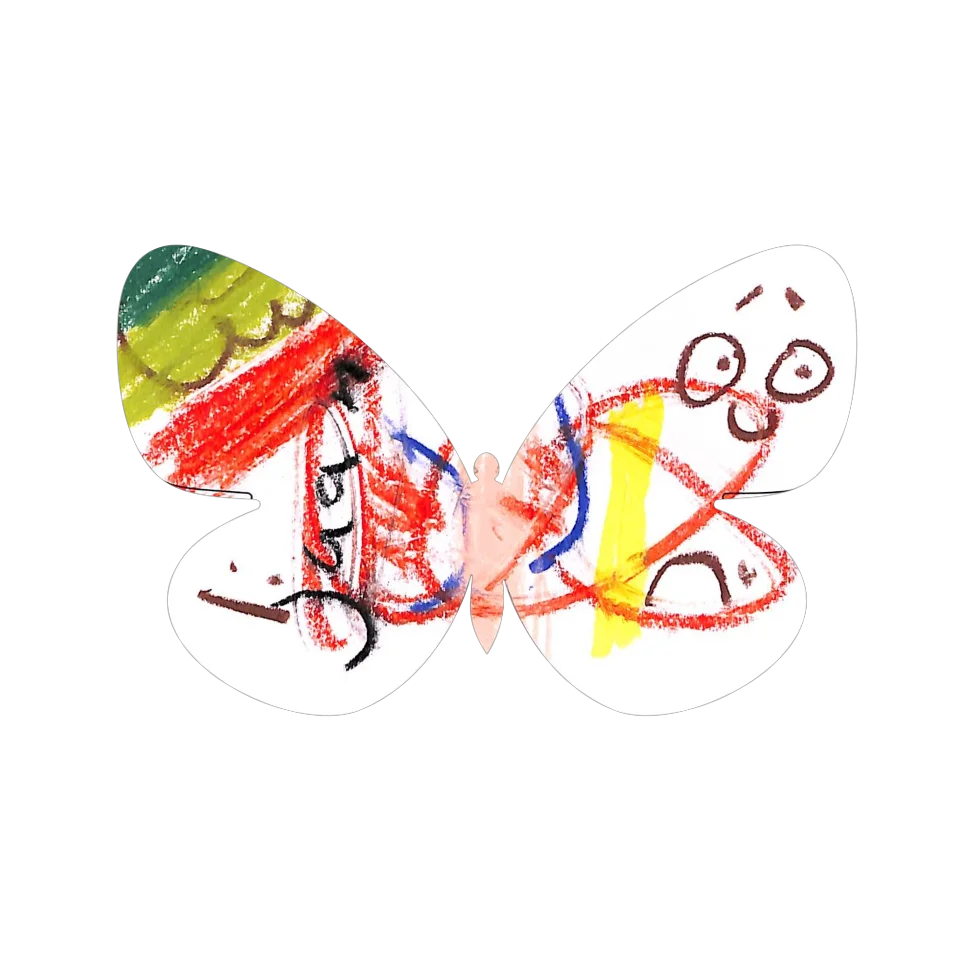 Original Butterfly Image