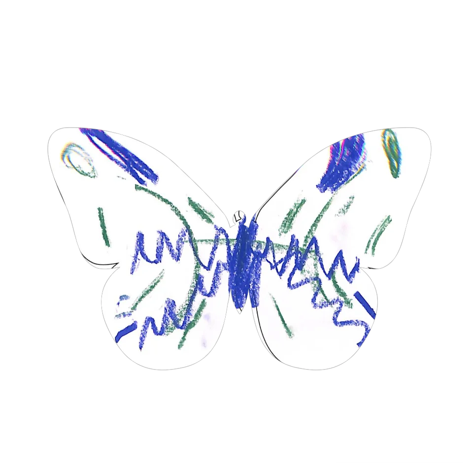 Original Butterfly Image