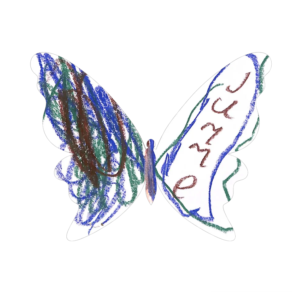 Original Butterfly Image