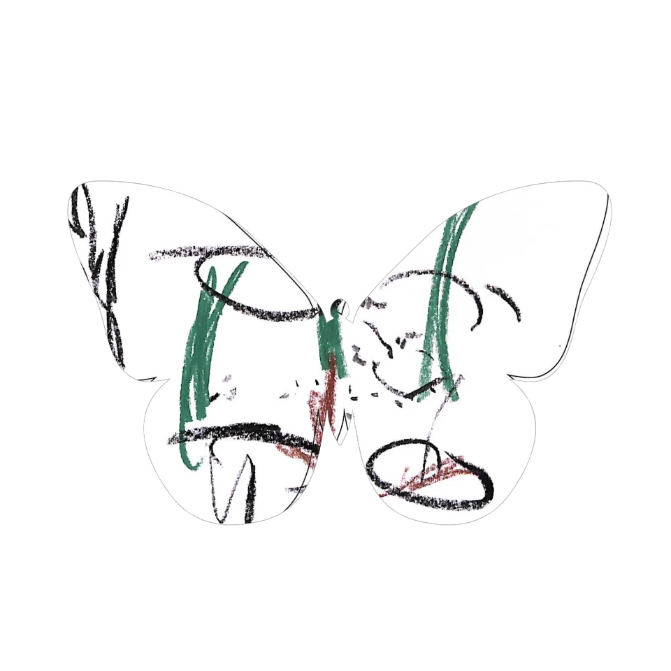 Original Butterfly Image