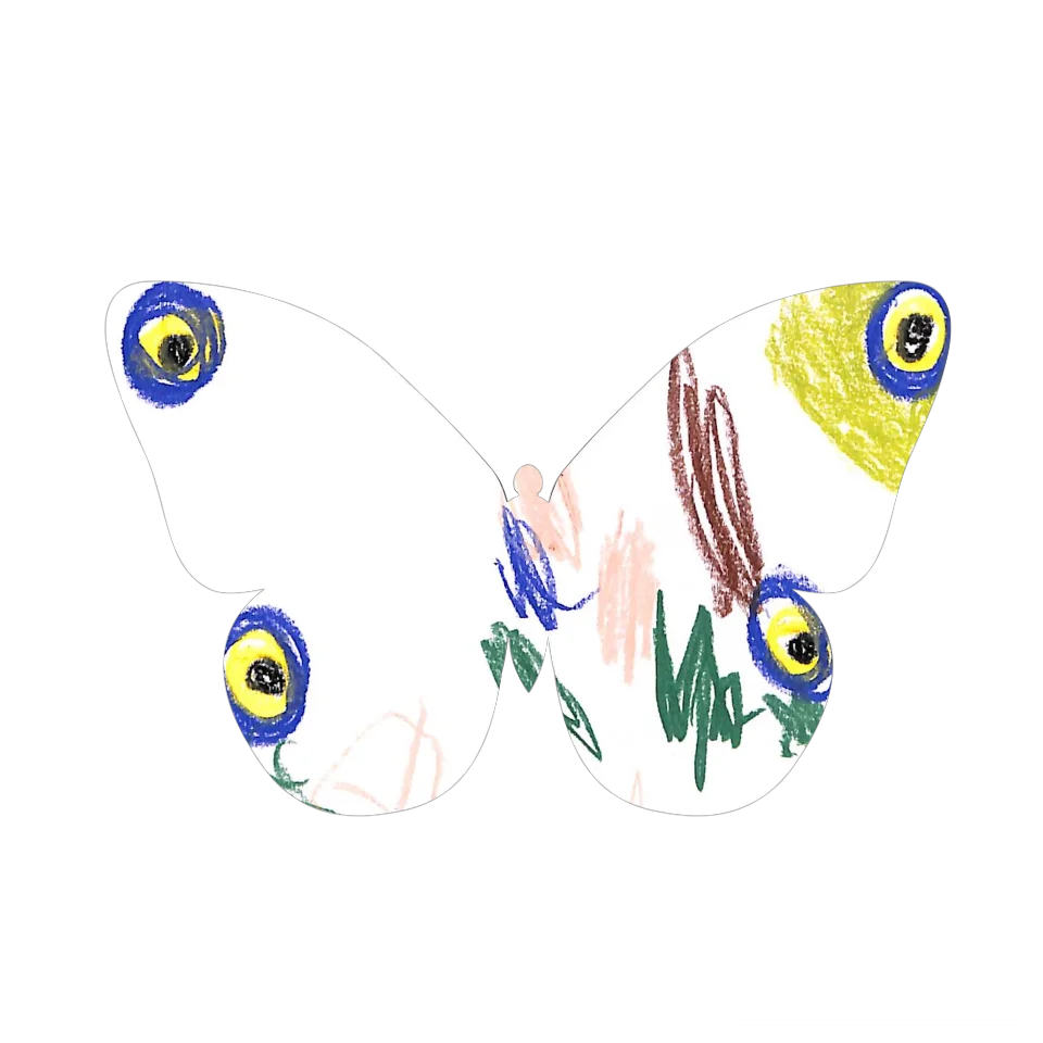 Original Butterfly Image