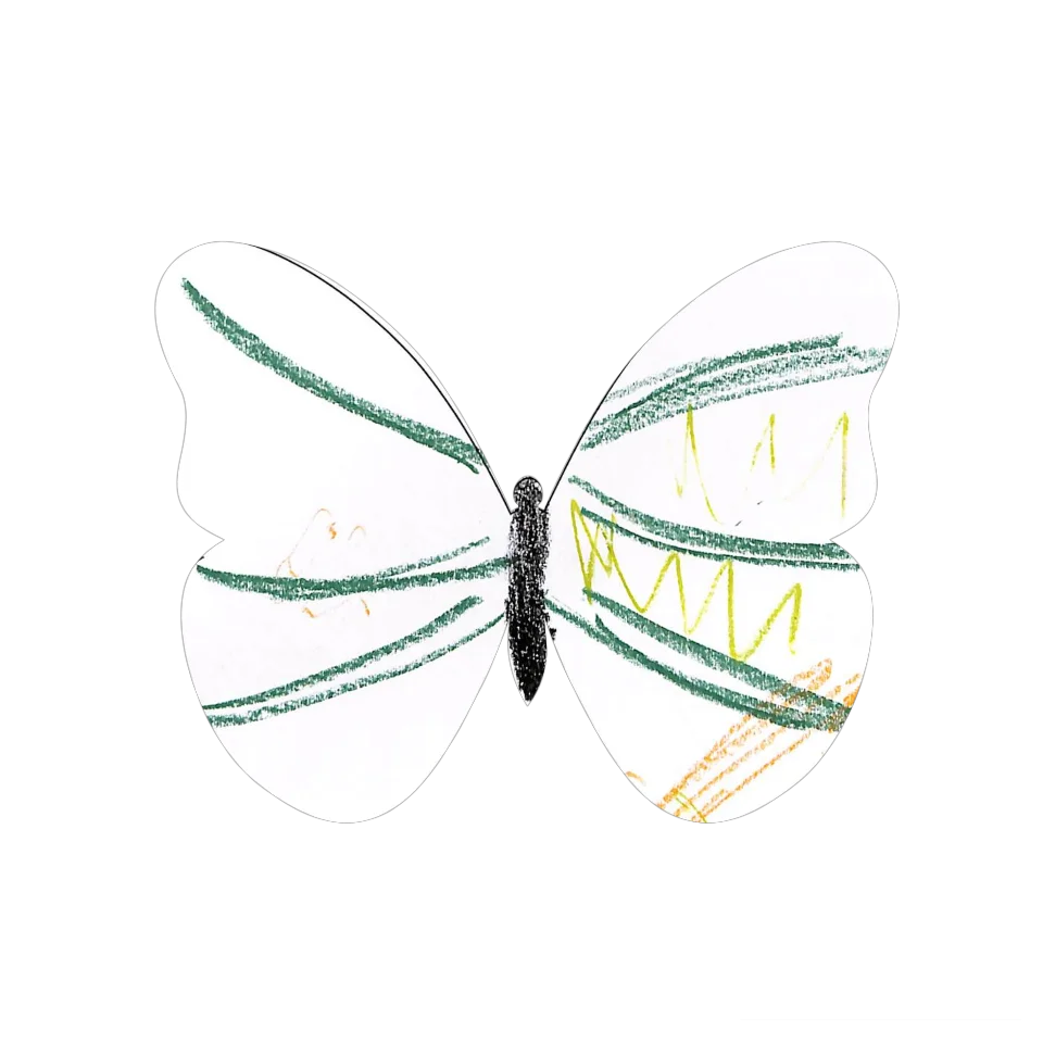 Original Butterfly Image