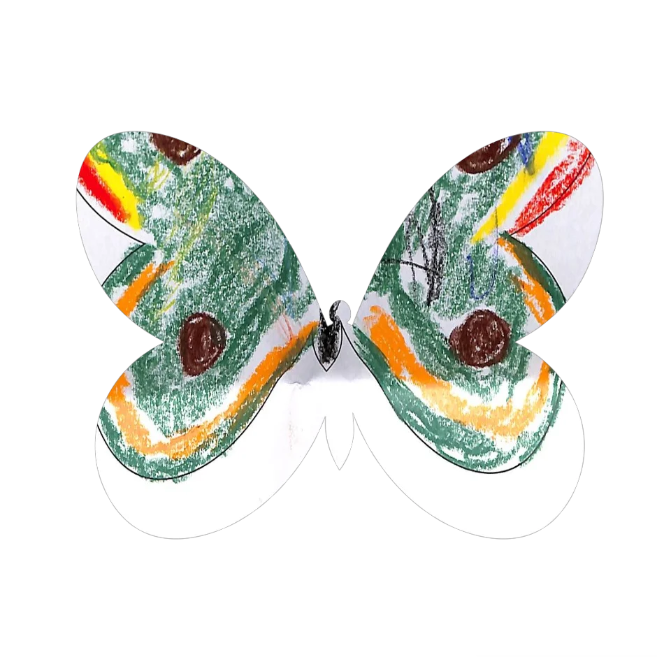 Original Butterfly Image
