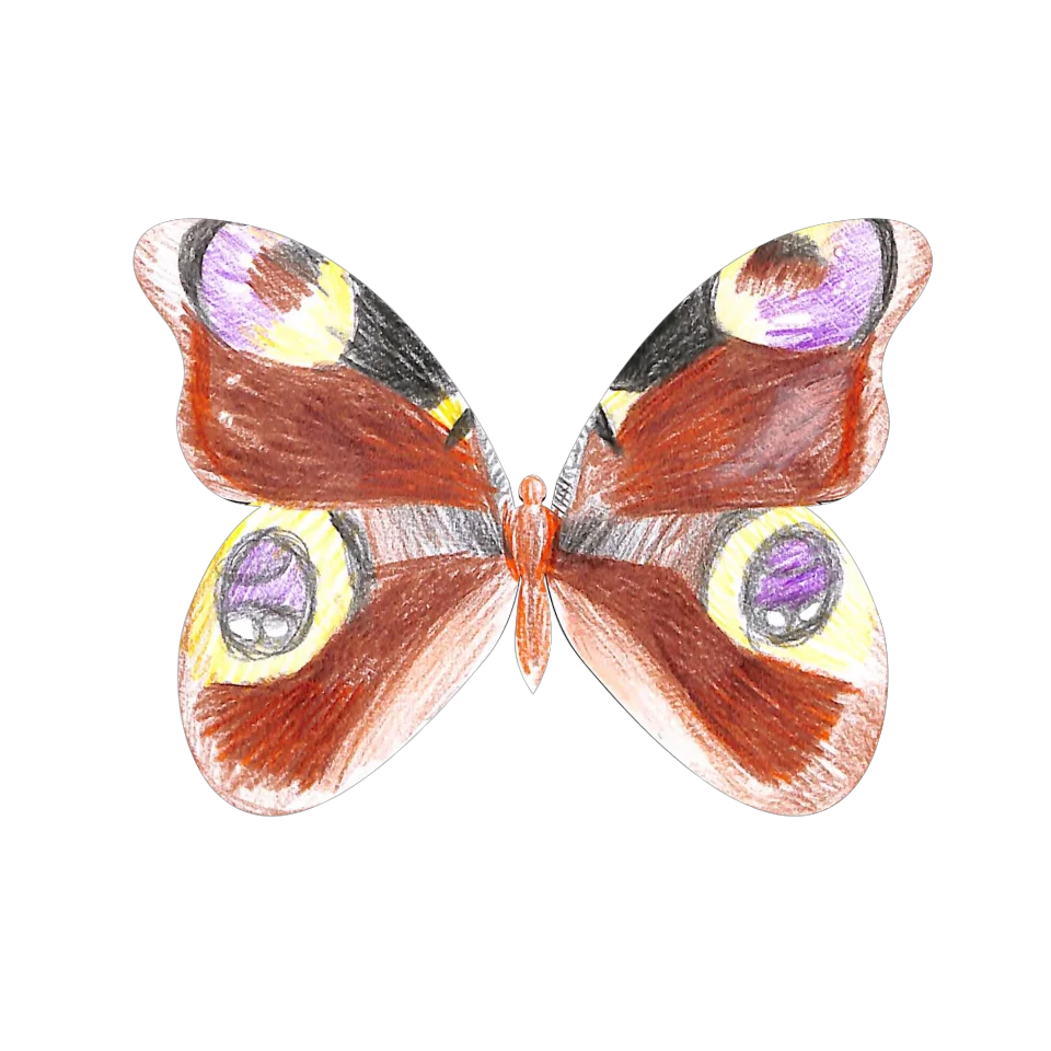 Original Butterfly Image
