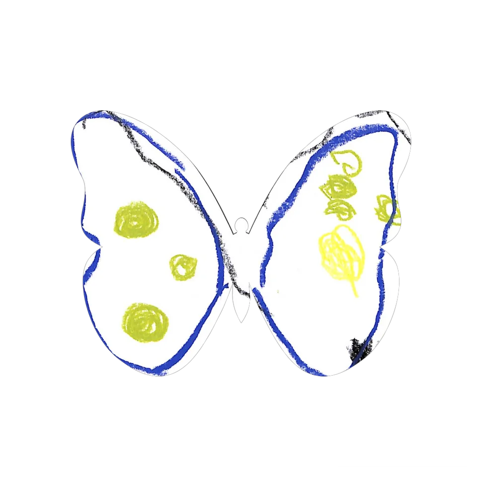 Original Butterfly Image