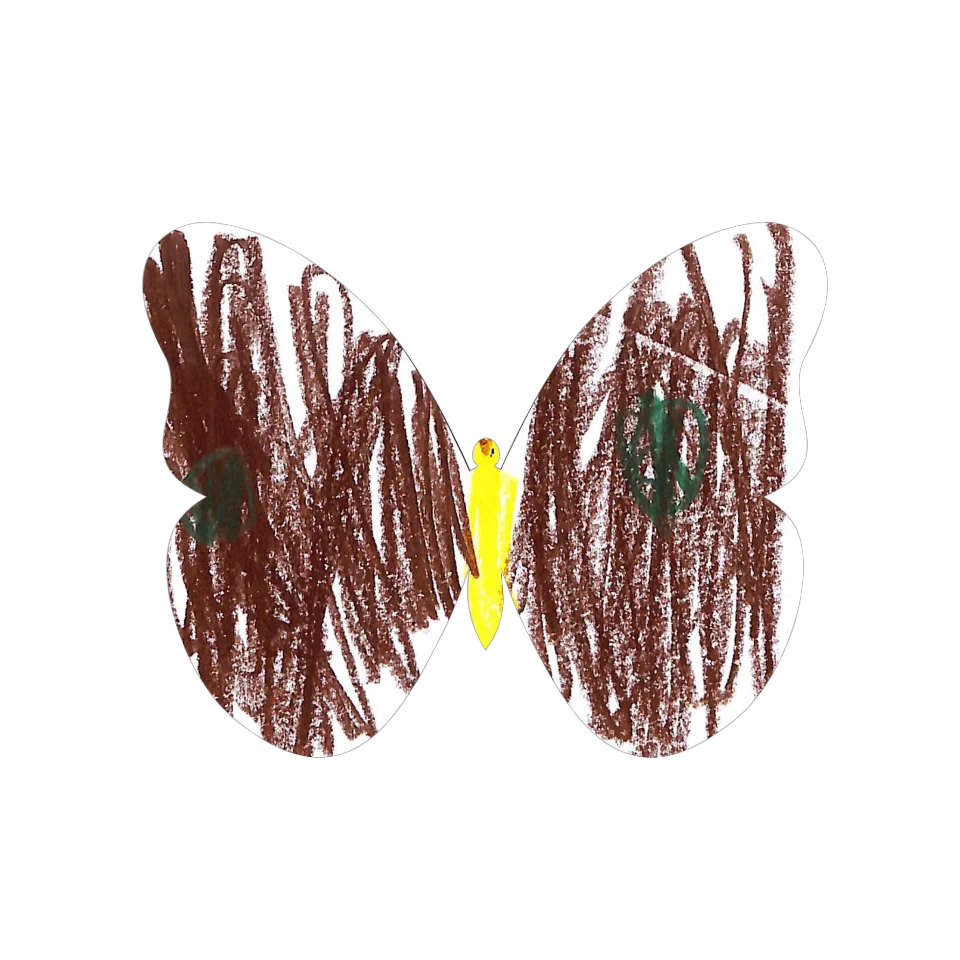 Original Butterfly Image