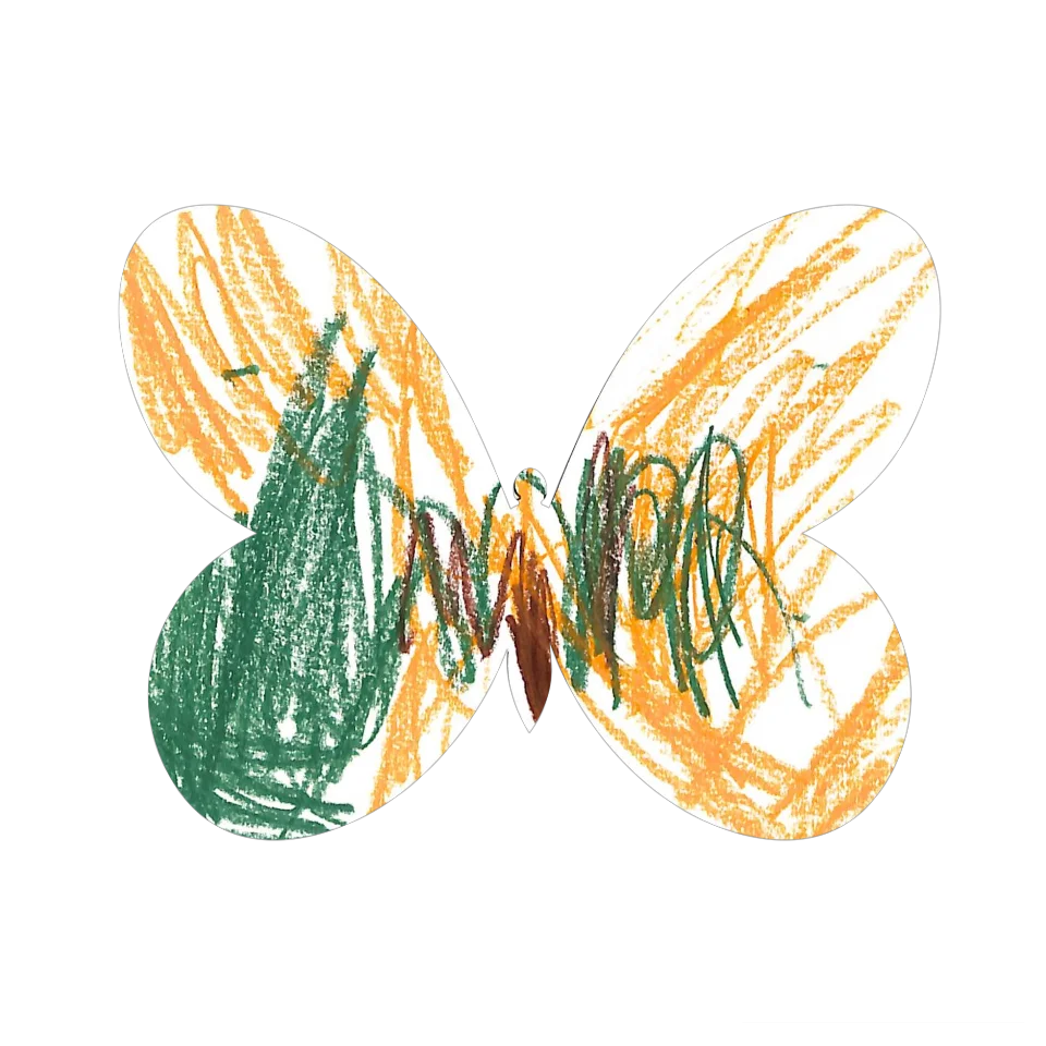 Original Butterfly Image