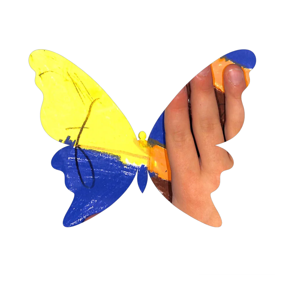 Original Butterfly Image