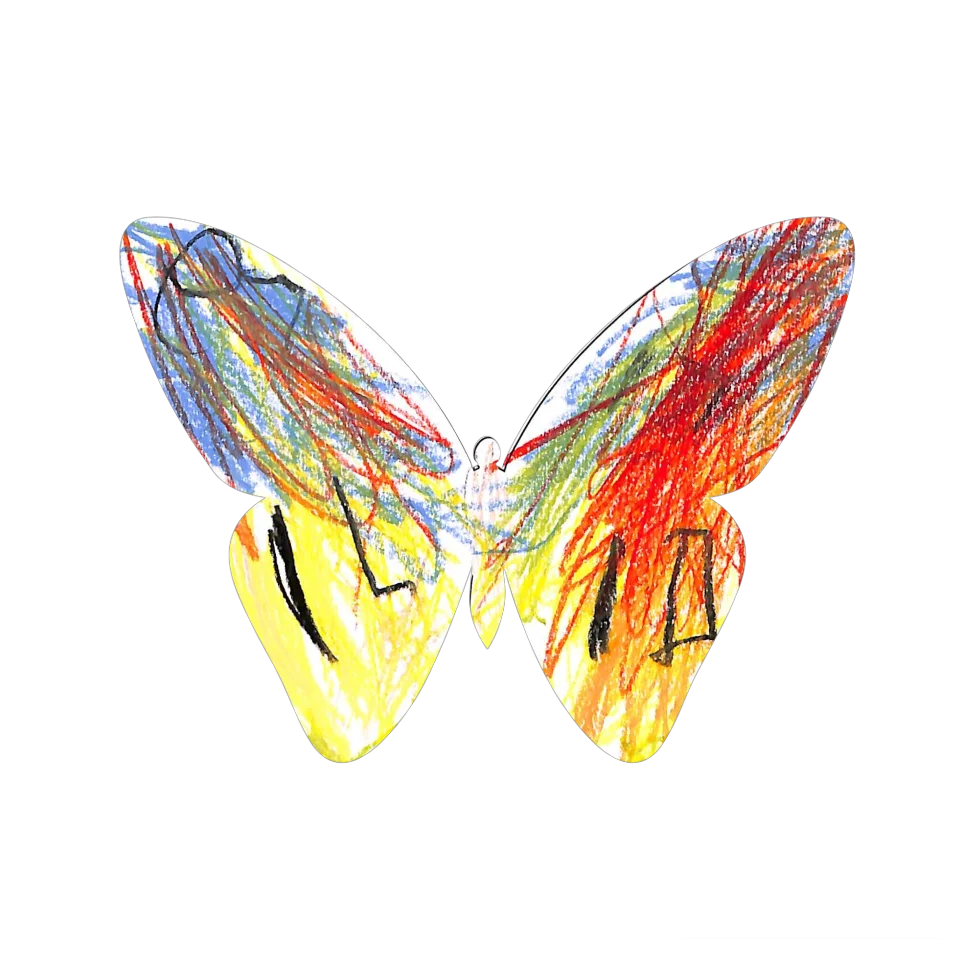 Original Butterfly Image