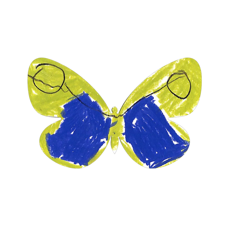 Original Butterfly Image